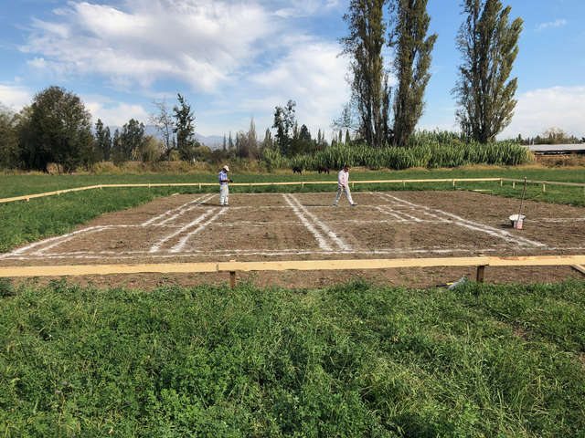 Replanteo de ejes y niveles sobre terreno
